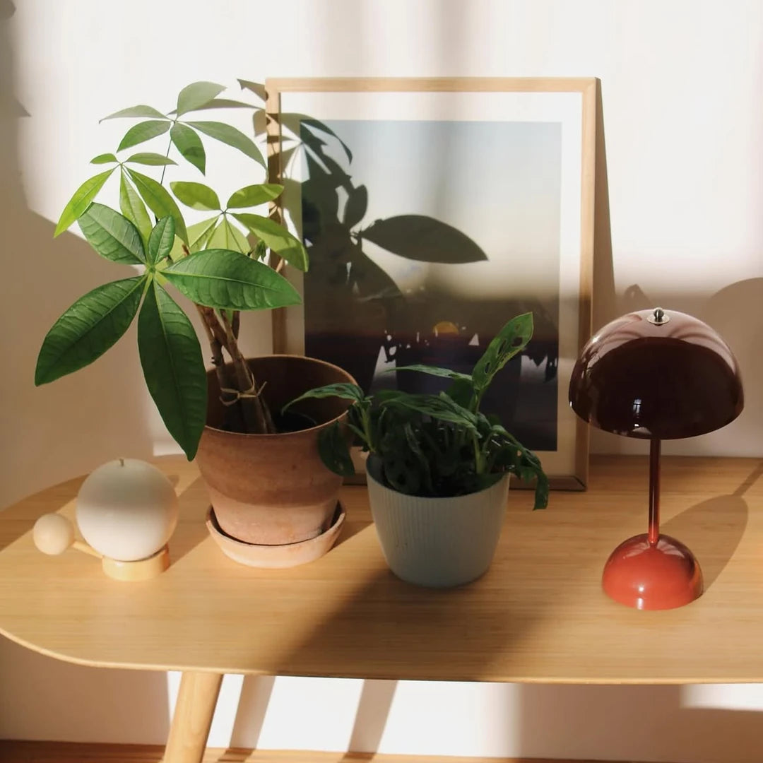 Cappina Portable Lamp